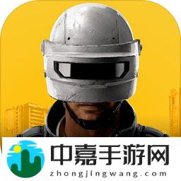 pubg2未来之役国际服(new state mobile)